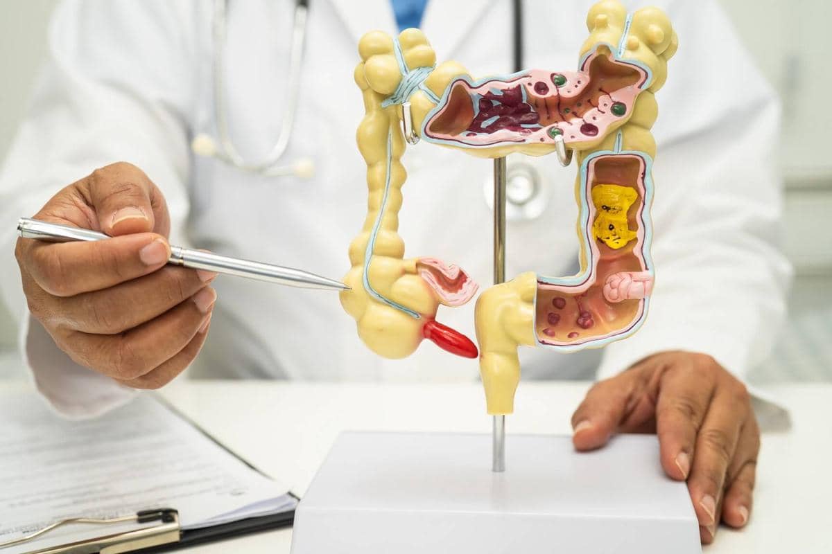 ilustrasi sistem pencernaan